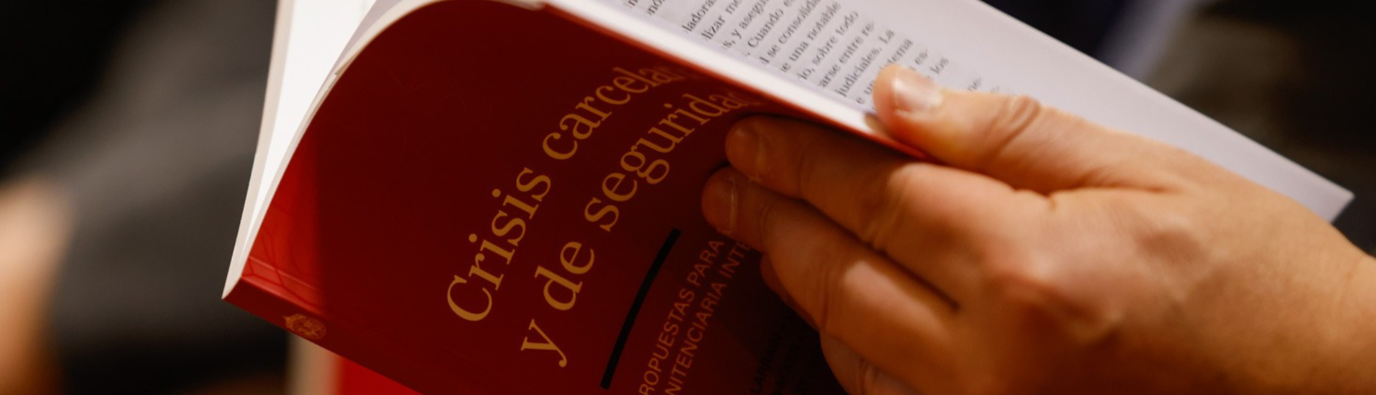 Nuevo libro: crisis carcelaria y de seguridad. Propuestas para una política penitenciaria integral